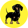 SDY_logo