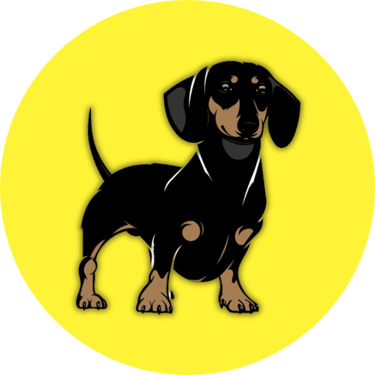 SDY logo