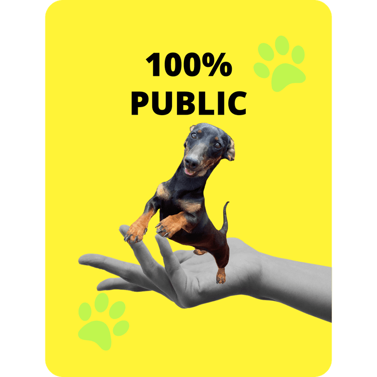 SausageDoggy